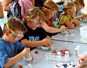 Science experimentation also develops problem solving  as it encourage a systematic approach to investigations.  (Photo credit: Teachers.egfi-K12.org) 